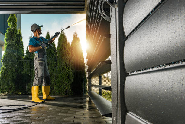 Best Gutter Cleaning  in Julian, CA